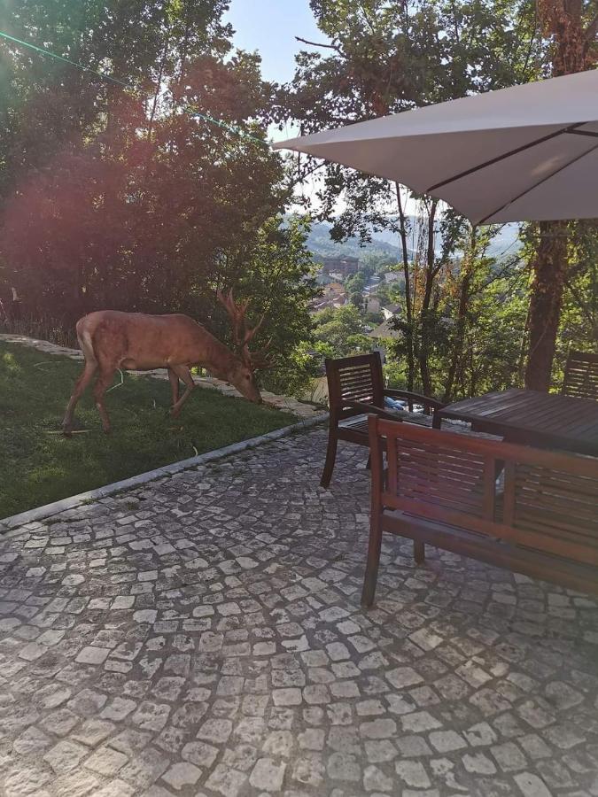 Casa Vacanze Al Castello Villetta Barrea Exterior photo